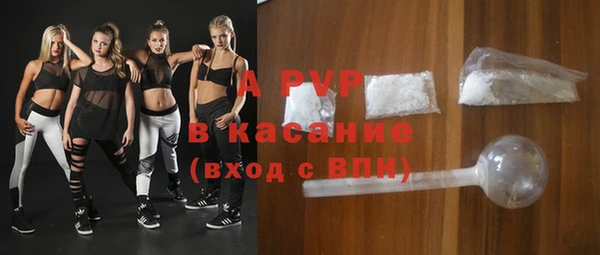 СК Белокуриха