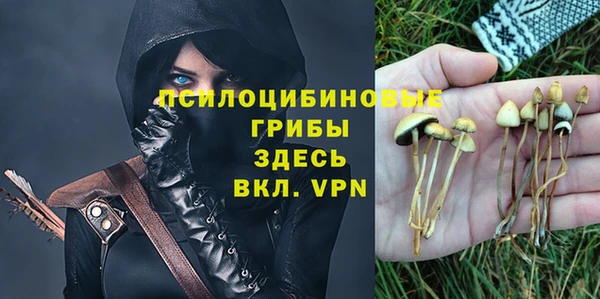 дурь Белоозёрский