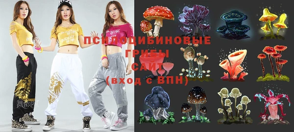 дурь Белоозёрский
