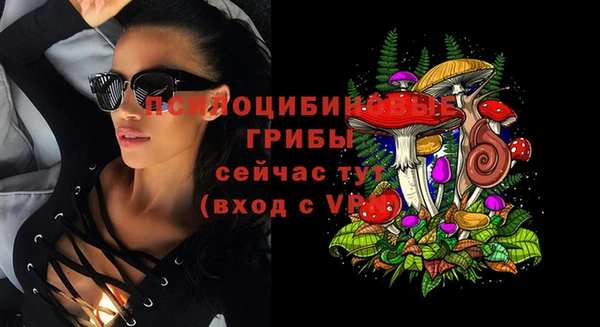 дурь Белоозёрский