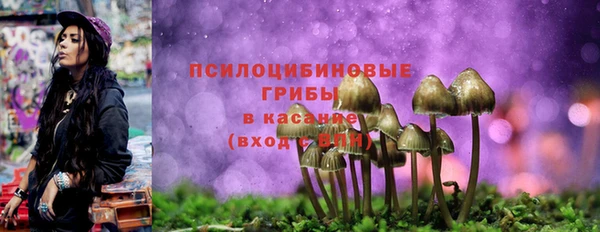 дурь Белоозёрский