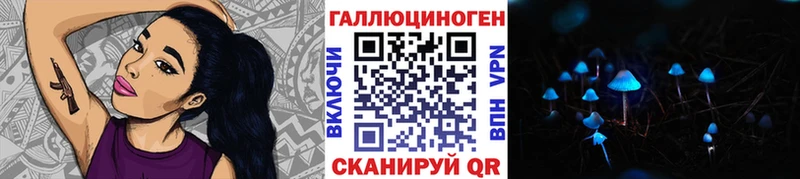 закладки  Кяхта  Псилоцибиновые грибы GOLDEN TEACHER 